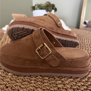 Steve Madden Brown Suede Mules with Gold Buckle